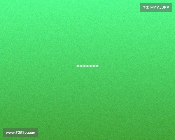 风云对决：数字赛场的气象巅峰之战